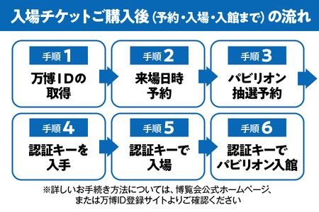 2025年日本国際博覧会入場チケット　通期パス（中人）_OS999-0002