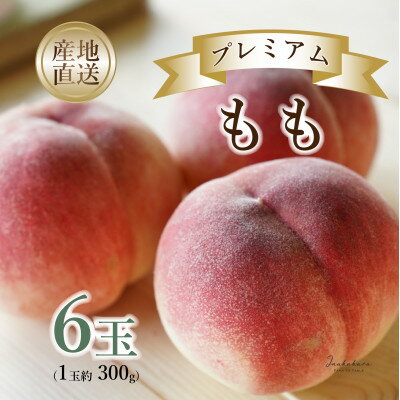 【ふるさと納税】Inakakara　プレミアム桃6玉【配送不可地域：離島・沖縄県】【1622612】