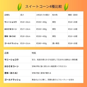 とうもろこし 伊那市産 スイートコーン 約5kg 2Lサイズ 12本入り サニーショコラ 【013-50】