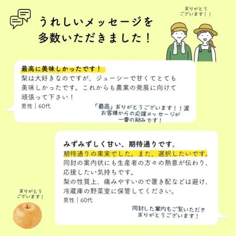 梨 幸水 約5kg（9～14玉） 松川町産 贈答／2026年8月中旬～配送 [KW08]//長野県 南信州 松川町 和梨 梨 なし ナシ 産地直送 農家直送 農家支援 贈答 幸水 果物 フルーツ