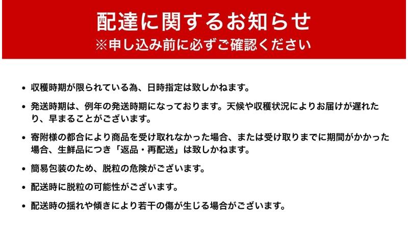 【2026年産】 ぶどう シャインマスカット 4～5房 約2kg 葡萄 ブドウ マスカット 2kg 果物 くだもの フルーツ デザート 旬の果物 旬のフルーツ 長野県 長野