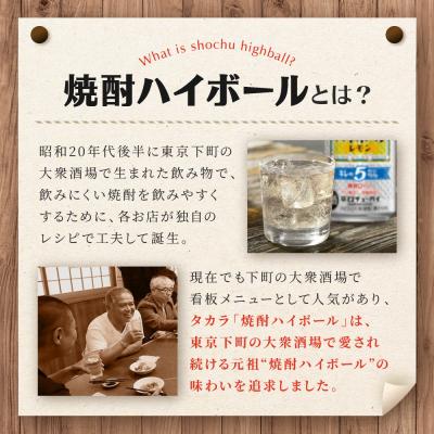 ふるさと納税 京都市 【タカラ】焼酎ハイボール「キレの5%」 レモン  350ml×24本 | チューハイ お酒 人気 |  | 01