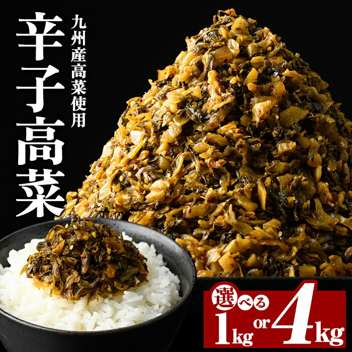 【ふるさと納税】《選べる内容量》九州産辛子高菜(1kg・4kg) 国産 九州産 たかな 漬物 漬け物 ご飯のお供 おかず おつまみ おにぎり 常温 常温保存【九州新進】
