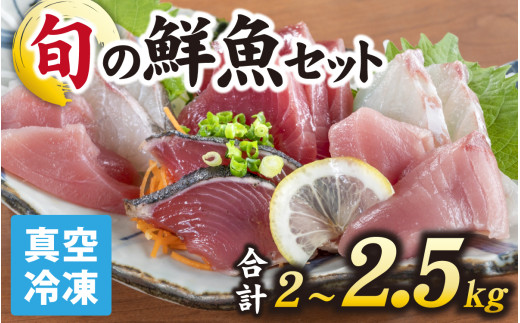 【日本海鮮魚】漁師厳選鮮魚真空冷凍セット　約2g～2.5kg(4種以上)  鮮魚ボックス  直送  鮮魚 ／ 魚 詰め合わせ 新鮮 煮物 焼き物 お造り 刺身 晩酌 食卓 BBQ  急速冷凍 真空パック 鮮魚セット 詰合せ 鮮魚店 厳選 お任せ 鮮度 産直 海鮮 加熱用 冷凍保存 福井県 南越前町 越前 送料無料  さへい 河野 越前 北陸