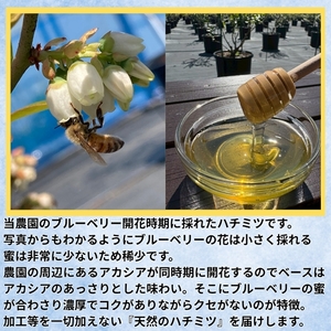 長野県産 ブルーベリージャム125gとはちみつ100gセット（各1本/化粧箱入） 信州 佐久市 無添加 国産 アカシア 蜂蜜 ハニー パン ヨーグルト はちみつ