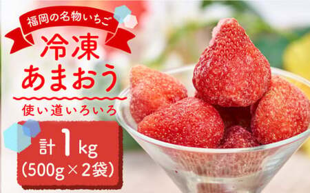 福岡産 冷凍 あまおう 1kg 500g×2袋＜南国フルーツ株式会社＞那珂川市 冷凍あまおう 冷凍あまおう 冷凍あまおう 冷凍いちご 冷凍あまおう [GCD005] 13000 13000円