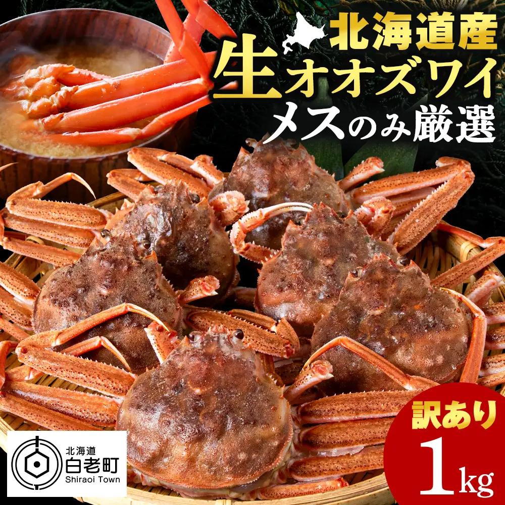 北海道産 生オオズワイガニ メス 1kg （加熱用） 〈斉藤水産〉 AM158