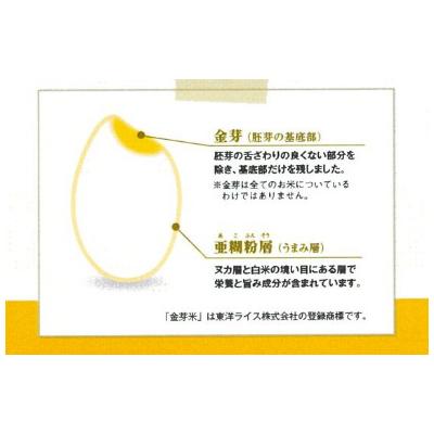 ふるさと納税 安来市 BG無洗米　金芽米にこまる2kg |  | 02