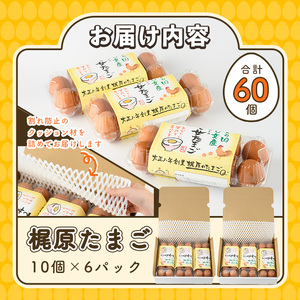 梶原たまご(計60個・10個×6P) 卵 玉子 鶏卵 卵かけご飯 玉子焼き【108800200】【カジワラファーム】
