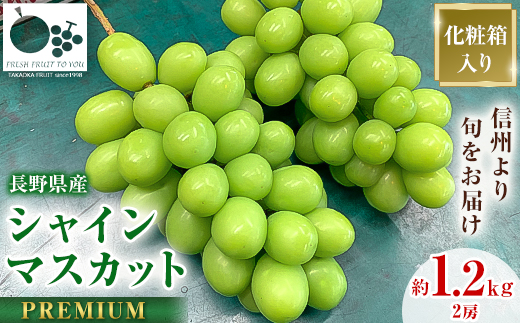 
                  2026年発送「産地より信州中野の旬をお届け」 シャインマスカット　PREMIUM　約1.2kg【1311086】
                