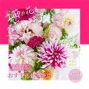 【ふるさと納税】故郷納税《3ヵ月定期便 》芸西村産季節の花束 フラワーアレンジメント 季節のおすすめ ブルースター トルコキキョウ ダリヤ お花 おしゃれ プレゼント ギフト お祝い 供花 お供え ふるさとのうぜい 故郷納税 返礼品【生産者直送】