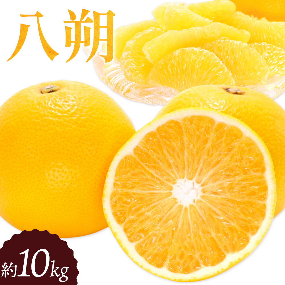 【ふるさと納税】八朔 約10kg 垣内農園 《3月上旬-4月中旬頃出荷》和歌山県 日高川町 果物 フルーツはっさく ハッサク 柑橘 送料無料