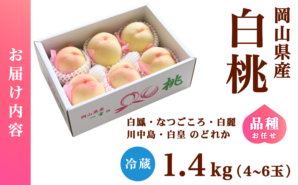 【家庭用】岡山県産 旬の桃 白桃 品種おまかせ 1.4kg 1.4kg