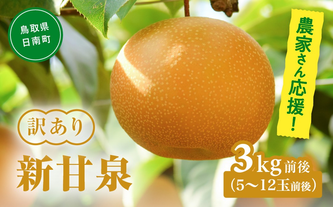 
                  【令和9年産先行予約】農家さん応援！ 訳あり 新甘泉（しんかんせん） 3kg前後(5～12玉前後) 梨 なし フルーツ 鳥取 高間商店
                