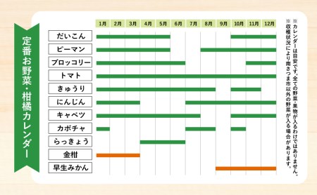 【かごしま野菜定期便 （全6回）】旬鮮野菜と果物のセット（12～14品目） 野菜 お野菜 九州 野菜BOX 旬 セット 詰合せ 定期便 JA鹿児島県経済連 南さつま市