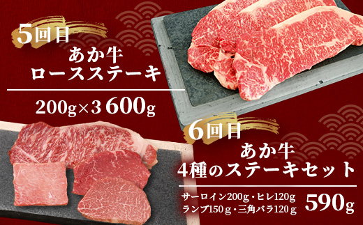 【定期便6回】あか牛 贅沢 定期便 < 肩ロースすき焼き500g・焼肉食べ比べ500g・赤身すき焼き肉800g・サイコロステーキ800g・ロースステーキ600g・4種のステーキセット > 【 牛肉 肉