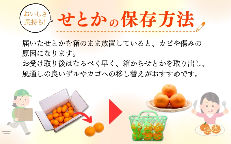 【ご家庭用訳あり】紀州和歌山産　せとか　約5kg　【先行予約】【みかん】 ※2025年2月上旬頃～2025年3月中旬頃順次発送予定(お届け日指定不可) 