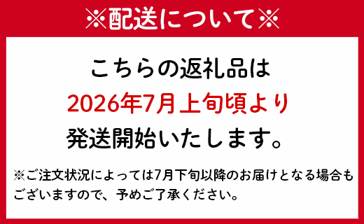 【2024年7月上旬以降配送開始】【贈答用】島マンゴー園の完熟マンゴー Ａ品 2kg マンゴー フルーツ