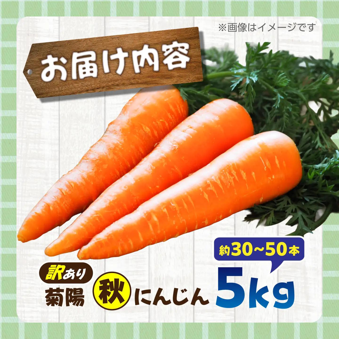 【先行予約】【12月中旬より順次発送】【訳あり】菊陽秋冬にんじん 約5kg (訳あり) / にんじん 菊陽にんじん 西洋にんじん ニンジン 人参 野菜 熊本 菊陽 わけあり 【マツモト：ファーム】[B