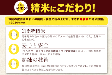 米 無洗米 令和6年産 新米 特A受賞品種 ひのひかり 森のくまさん 米 送料無料10kg 食べ比べ ヒノヒカリ 選べる 厳選 熊本県産(長洲町産含む) 米 お米 森くま 《11月-12月より出荷予定