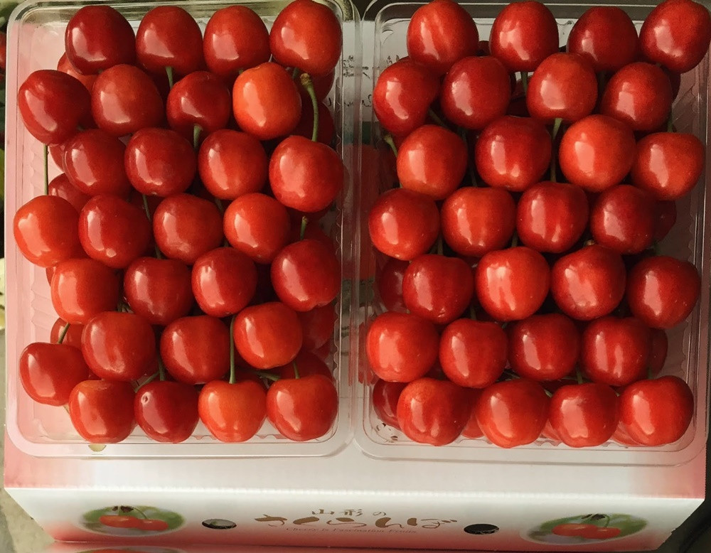 
            さくらんぼ（佐藤錦）１.２ｋｇ　特秀品　手詰め　0079-2536
          