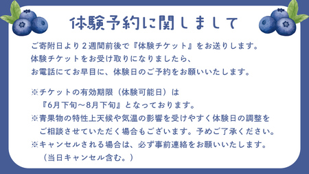 ブルーベリー狩り 体験チケット 《大人１名様プラン お土産付き》 [DZ006sa]