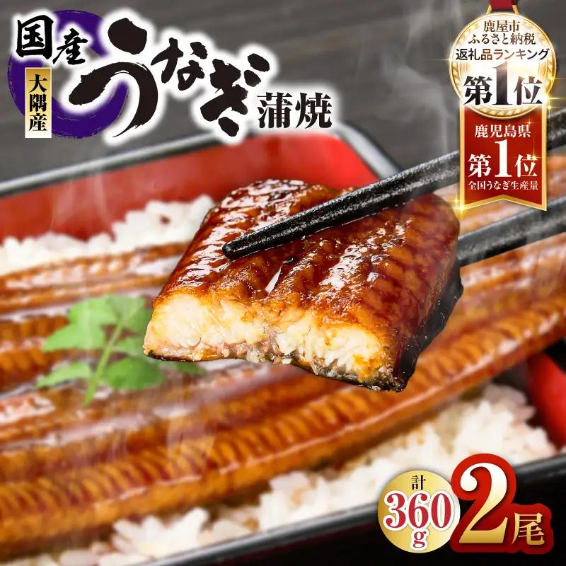 鹿児島県大隅産 うなぎ蒲焼 2尾（360g）　KN007-002-04 魚 鰻