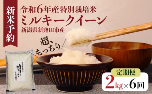 【定期便】令和6年産 新潟県産 ミルキークイーン 2kg×6か月 新潟県 新潟産 新発田市 米 お米 白米 ごはん 玄米 精米 国産 ミルキークイーン ふっくら もっちり 定期便 6ヶ月 12kg 2kg つやつや もちもち ご飯 お弁当 おにぎり コシヒカリ 低温貯蔵 佐々木耕起組合