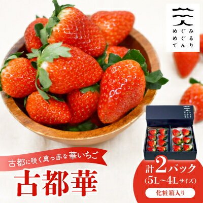 【ふるさと納税】古都に咲く真っ赤な華いちご「古都華」(270g以上/5L～4Lサイズ/6～8粒)×2P　化粧箱入り【配送不可地域：離島】【1102951】