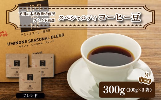 スペシャルティ コーヒー豆セット ブレンド 300g(100g×3袋)  下関市 山口