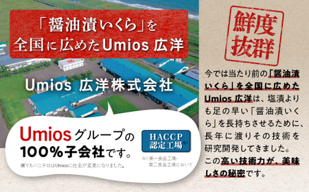 【定期便】 高評価 4.81 2回お届け いくら醤油漬 (鮭卵) 定期便 400g (200g×2) ×2回 ふるさと納税 海鮮 いくら イクラ 鮭いくら 鮭イクラ 醤油漬け 鮭 魚卵 魚 魚介 小分