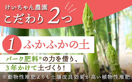 ＜先行予約＞【新鮮でみずみずしい】春芽 アスパラガス 700g【けいちゃん農園】アスパラ 野菜 [HCC005]