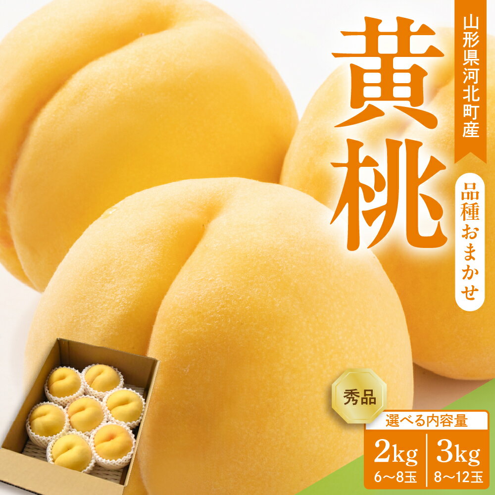 【ふるさと納税】 令和7年産 桃 黄桃 品種おまかせ 選べる内容量 2kg (6~8玉前後) 3kg (8～12玉前後) ギフト箱入 秀品 山形県産 【山形eLab】 果物 フルーツ 産地直送 特産品 お取り寄せ グルメ 山形県 河北町