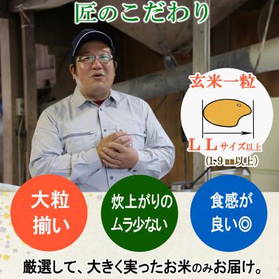 ふるさと納税 酒田市 栽培期間中農薬不使用 コシヒカリ 玄米 10kg 大粒LLサイズ以上厳選【令和7年産】 |  | 03