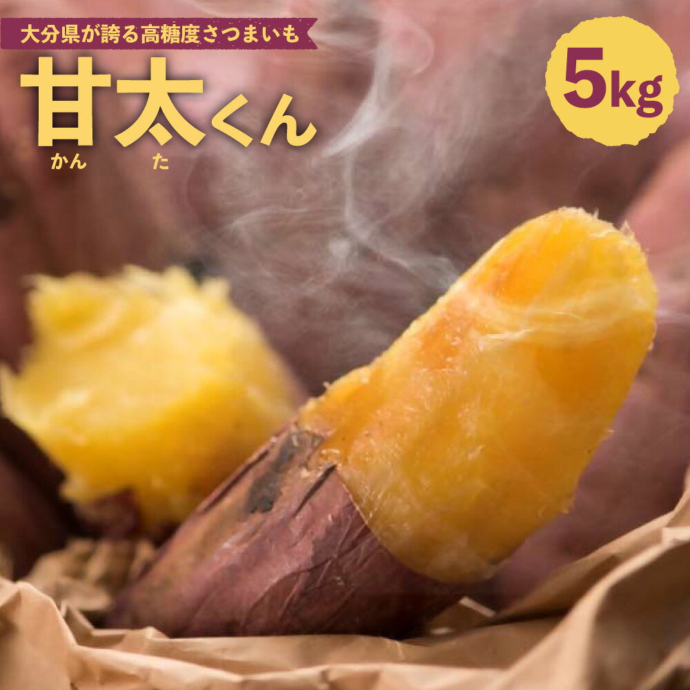 【ふるさと納税】【先行予約】【12月中旬～4月上旬まで順次発送予定】大分県が誇る高糖度さつまいも「甘太くん」約5kg サイズM～2L いも 芋 紅はるか さつまいも サツマイモ さつま芋 ブランド芋 野菜 大分県 臼杵市 送料無料