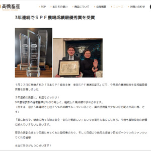 【北海道産ブランドSPF豚使用】若松しゅうまい大粒プレミアム 6個入り4パック セット 若松ポークマン 豚肉 シュウマイ 焼売 弁当 冷凍 チルド 蒸し せたな町 ふるさと納税  