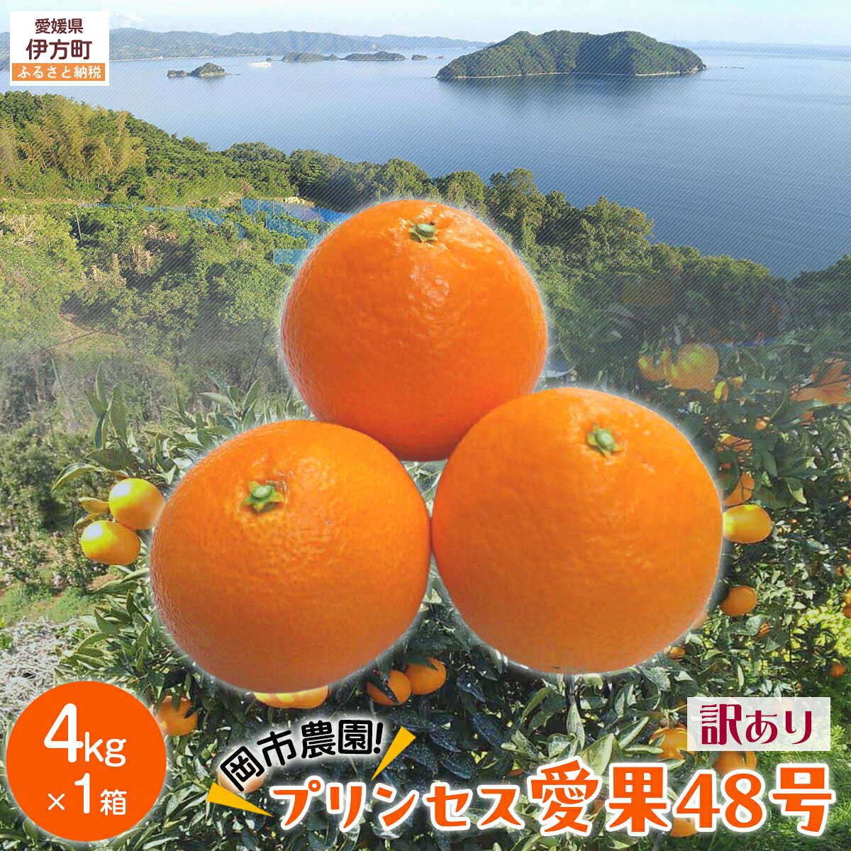 【ふるさと納税】【先行予約】【数量限定】【訳あり】岡市農園！プリンセス愛果48号 約4kg（2027年2月下旬より順次発送） IKTV013