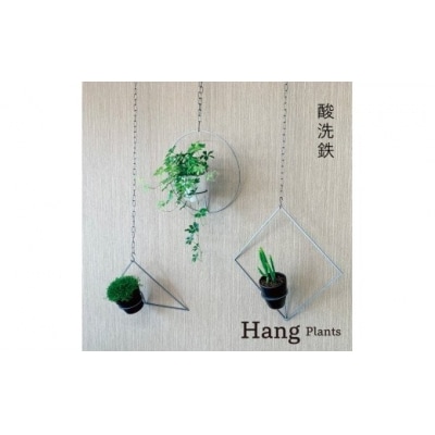 GRAVIRoN Hang Plants シリーズ セット 酸洗鉄(プランツハンガー)