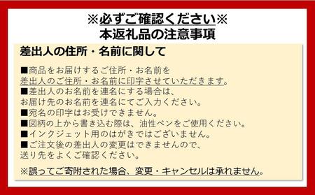 年賀状印刷 差出人印刷込み 60枚 お年玉付き（デザイン1：ハニワ×羽子板）