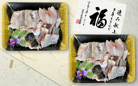 淡路島3年とらふぐ（大サイズ）活あら身まるごと1匹　2Pセット◆配送10月25日～3月31日