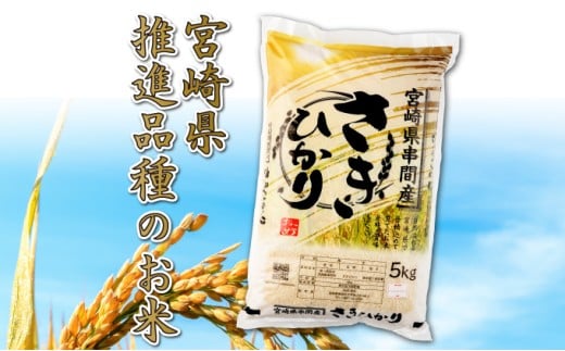 T-B2 <令和7年産>宮崎県串間市産  超早場米「さきひかり」5kg(5kg×1袋)【松田農産】