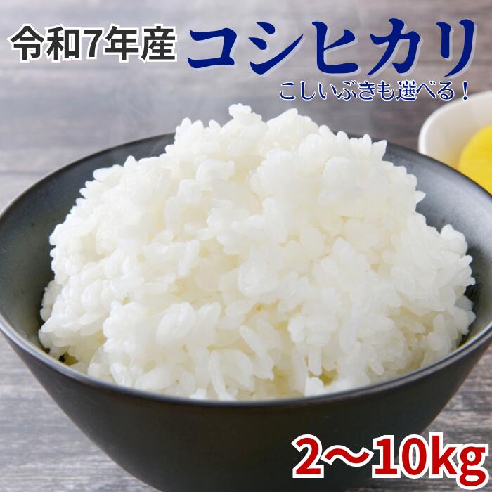 【ふるさと納税】 米 5kg 10kg 2kg 令和7年産 こしひかり こしいぶき 精米 こめ コメ 新潟県 産 おすすめ オススメ 恵水