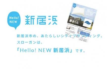 高性能ウォッシャブル「夢まくら」、清潔快適♪（R-35）丸洗いOK アレルギー対策・ダニ防止機能付 枕 ３５ｘ５０cm