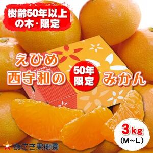 【贈答用】みさき果樹園の樹齢50年越え えひめ西宇和のみかん3kg　M・Lサイズ【C21-27】【1499014】