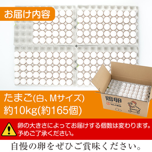 i303 鹿児島県産 白たまご 約10kg  約165個 Mサイズ 【マルイ食品】