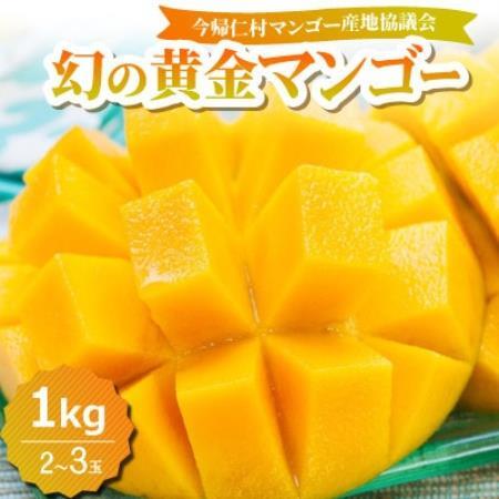 【2026年7月中旬から順次発送】今帰仁産の幻の黄金マンゴー1kg(2～3玉)【配送不可地域：離島】【4014734】