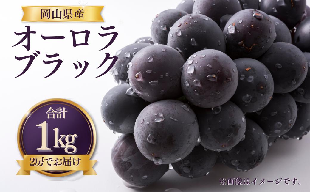 
                  【先行受付】 岡山県産 オーロラブラック 1kg（2房） | オーロラブラック ぶどう 葡萄 岡山県産 国産フルーツ 果物 大粒ぶどう 種なし 甘い ジューシー  旬の果物 フルーツ お取り寄せ 産地直送 人気 数量限定 先行予約 果実
                