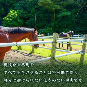 競走馬 競馬 引退後 余生支援 黒潮友馬会 1,000万円コース 高知県 須崎市