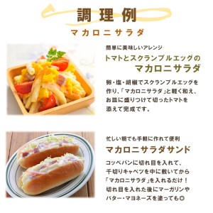 サラダ パウチ 2種 40袋（ごぼう・マカロニ）