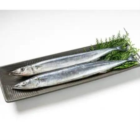 塩さんま(秋刀魚)20尾入【配送不可地域：離島】【1731278】